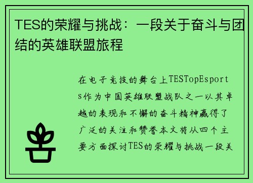 TES的荣耀与挑战：一段关于奋斗与团结的英雄联盟旅程